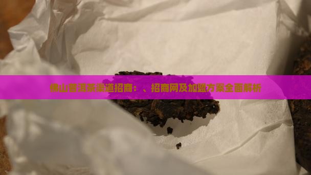 佛山普洱茶渠道招商