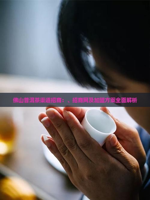 佛山普洱茶渠道招商