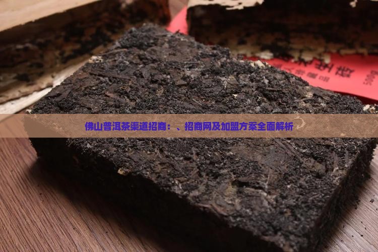 佛山普洱茶渠道招商