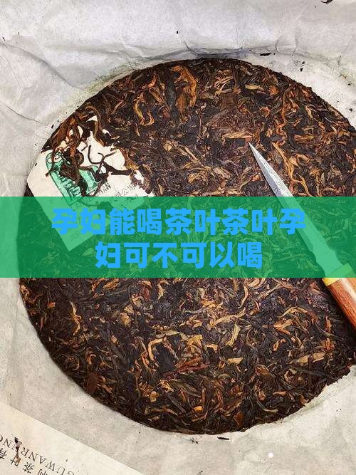 孕妇能喝茶叶茶叶孕妇可不可以喝