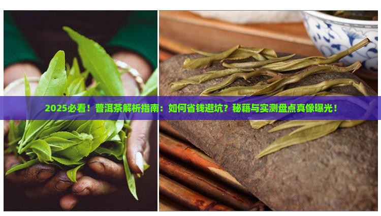 普洱茶简易知识讲解