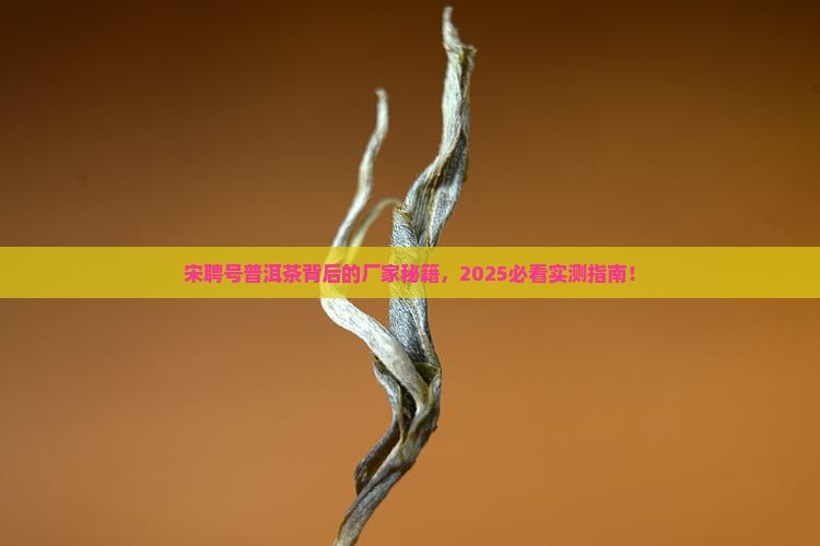 宋聘号普洱茶是哪个厂家