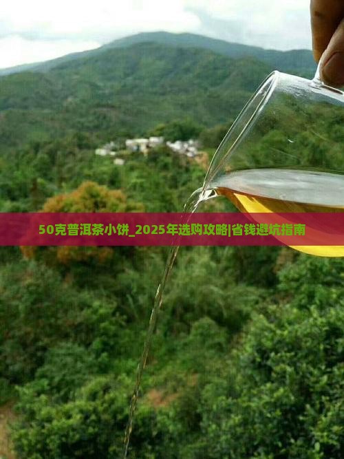 50克普洱茶小饼