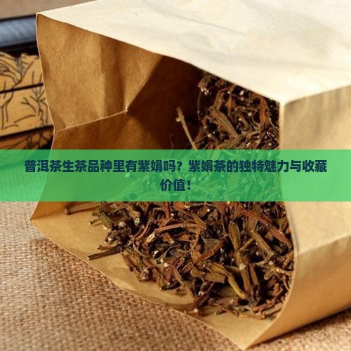 普洱茶生茶品种里有紫娟吗