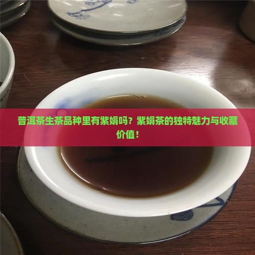 普洱茶生茶品种里有紫娟吗