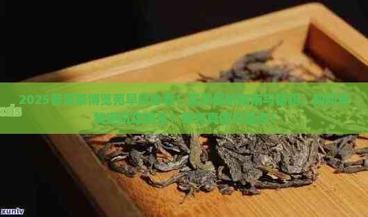 普洱茶博览苑早晨