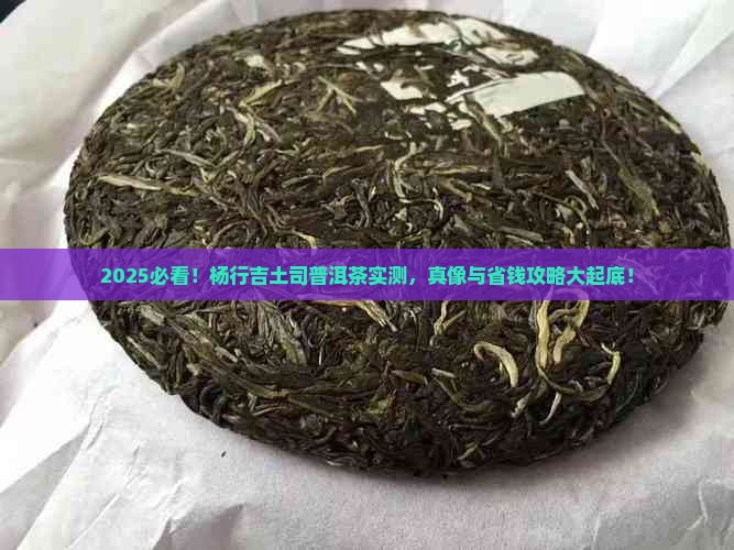 杨行吉土司普洱茶