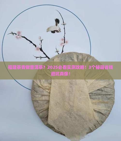 福建茶青可以做普洱茶