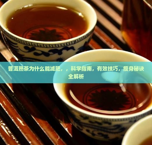 普洱熟茶为什么能减肥