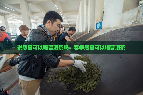 春季感冒可以喝普洱茶吗