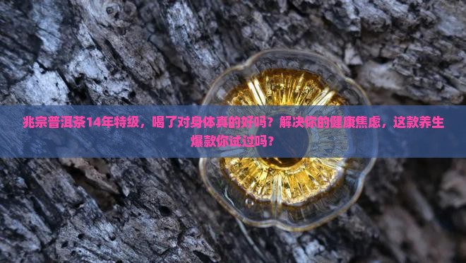 兆宗普洱茶14年特级