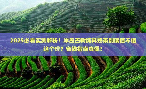 冰岛古树纯料熟茶怎么样