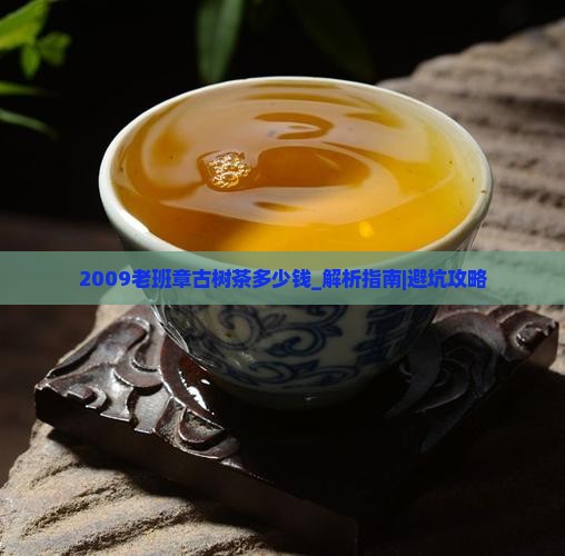 2009老班章古树茶多少钱