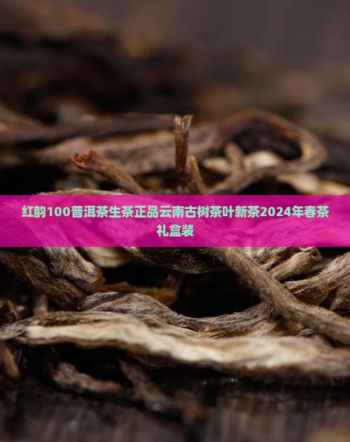 红韵100普洱茶生茶
