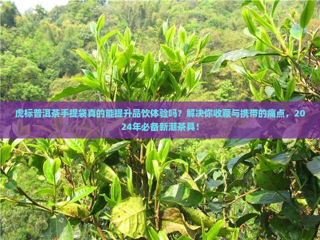 虎标普洱茶手提袋