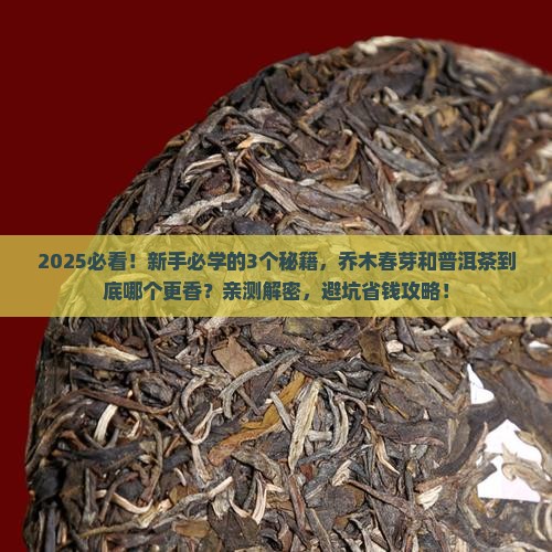 乔木春芽和普洱茶