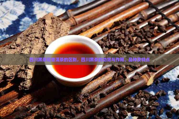 四川黑茶和普洱茶的区别