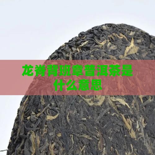 龙脊背班章普洱茶是什么意思