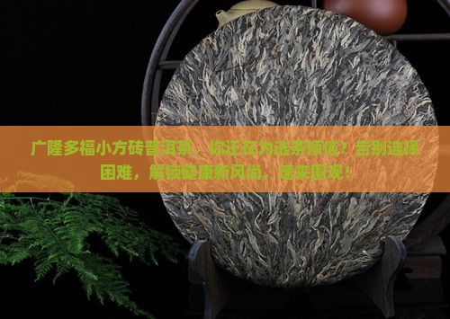 广隆多福小方砖普洱茶
