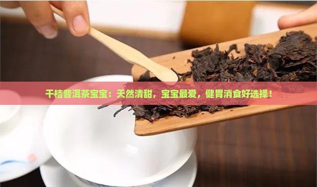 干桔普洱茶宝宝