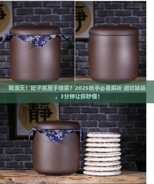 妃子笑属于什么茶