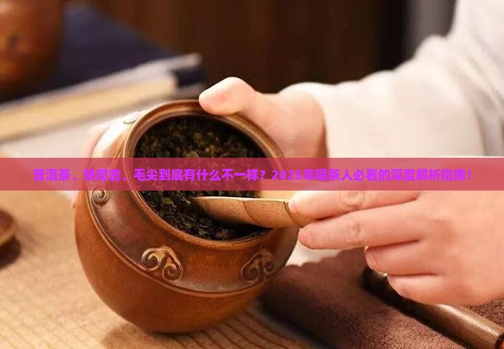 普洱茶铁观音毛尖的区别