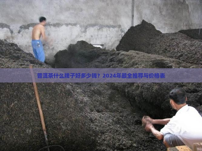 普洱茶什么牌子好多少钱