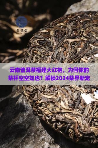 云南普洱茶福建大红袍