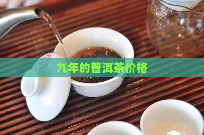 九年的普洱茶价格