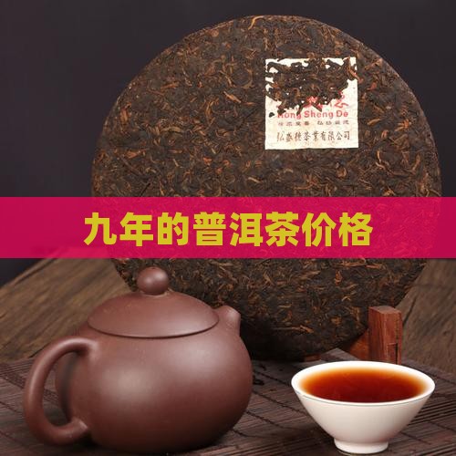 九年的普洱茶价格