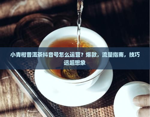 小青柑普洱茶抖音号