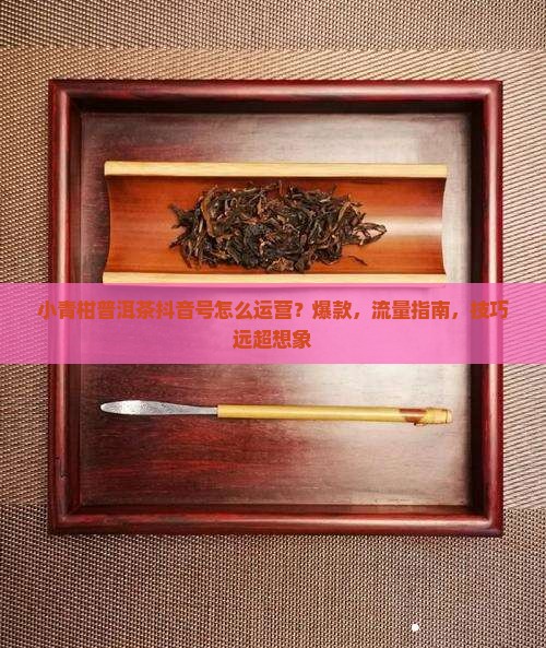 小青柑普洱茶抖音号