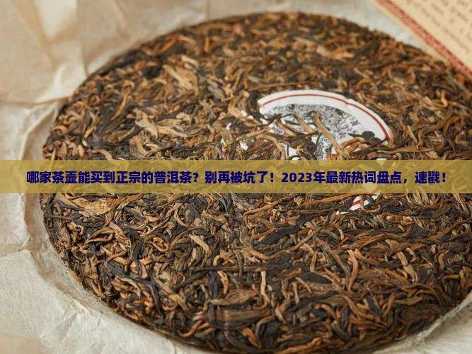 哪家茶壶能买到正宗的普洱茶