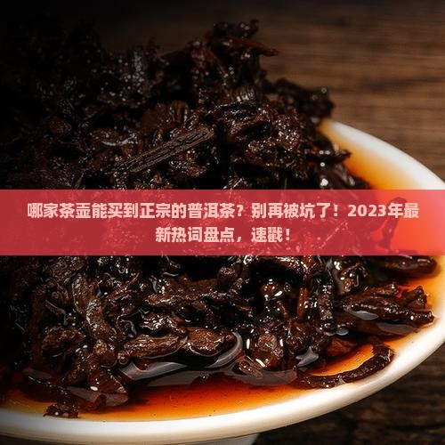 哪家茶壶能买到正宗的普洱茶