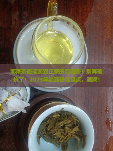 哪家茶壶能买到正宗的普洱茶