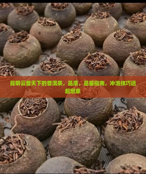 昆明云普天下的普洱茶