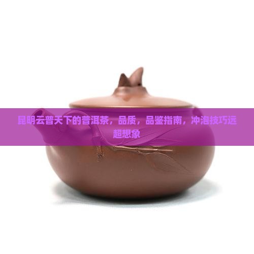 昆明云普天下的普洱茶