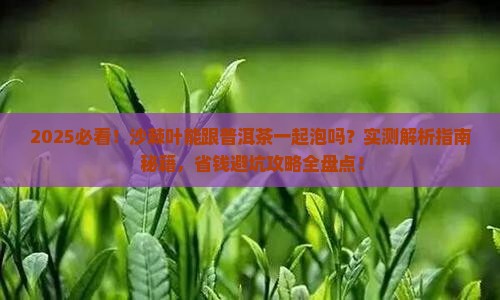 沙棘叶能跟普洱茶一起泡吗