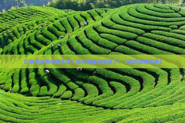 红茶普洱茶味道很淡