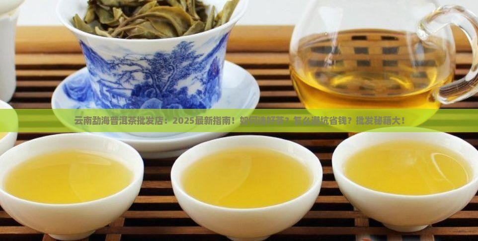 云南勐海普洱茶批发店