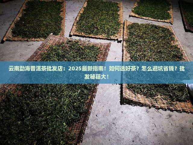 云南勐海普洱茶批发店