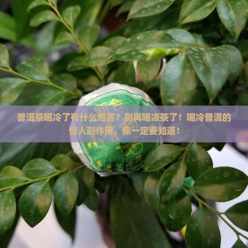 普洱茶喝冷了有什么危害