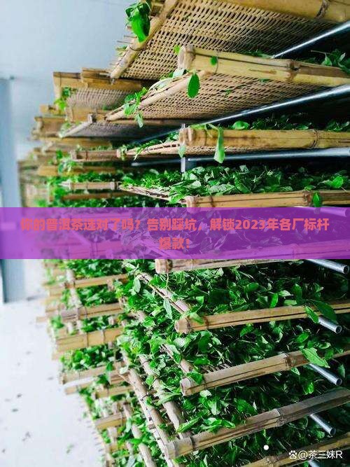 各厂普洱茶标杆产品