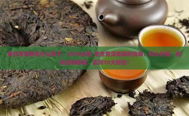 老仓普洱茶是什么牌子