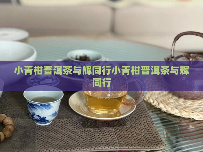 小青柑普洱茶与辉同行