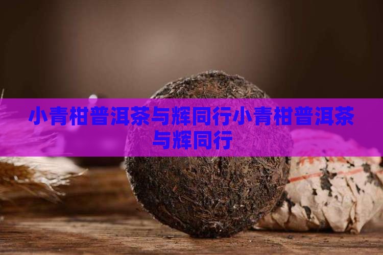 小青柑普洱茶与辉同行
