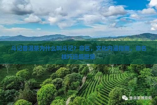 斗记普洱茶为什么叫斗记