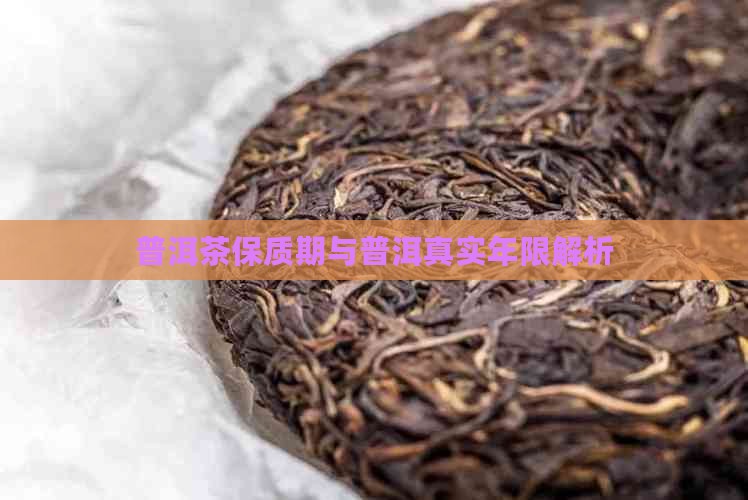 普洱茶真实年限