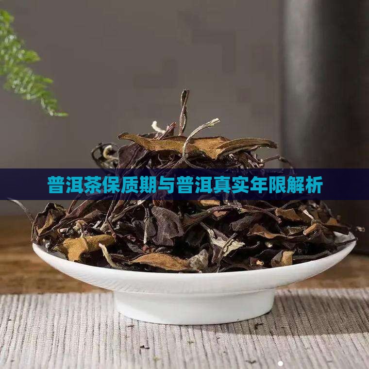 普洱茶真实年限