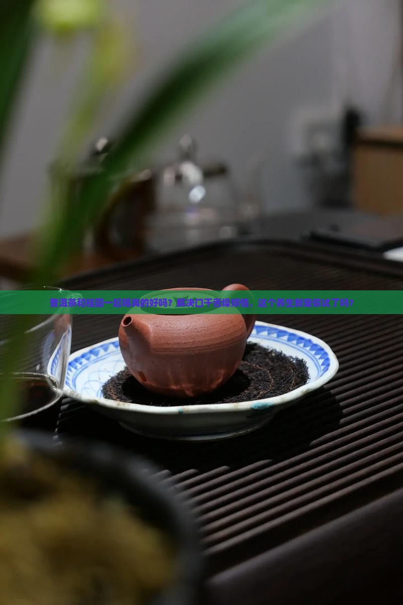 普洱茶和桂圆一起喝